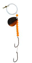 Load image into Gallery viewer, Colorado Midnight Gold Worm Harness
